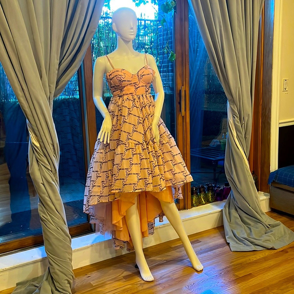 Akira, hi/lo sheer flowing lovely summer dress.